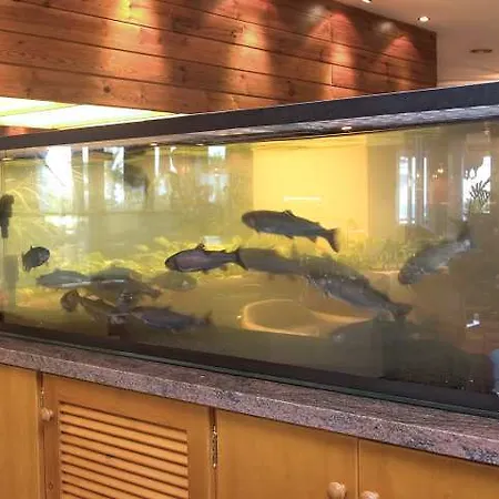 Bajondillo 4* Torremolinos