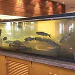 Bajondillo 4* Torremolinos