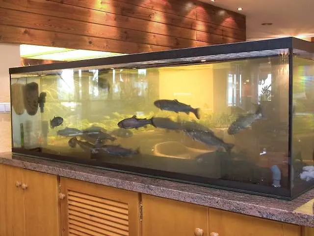 Bajondillo 4* Torremolinos